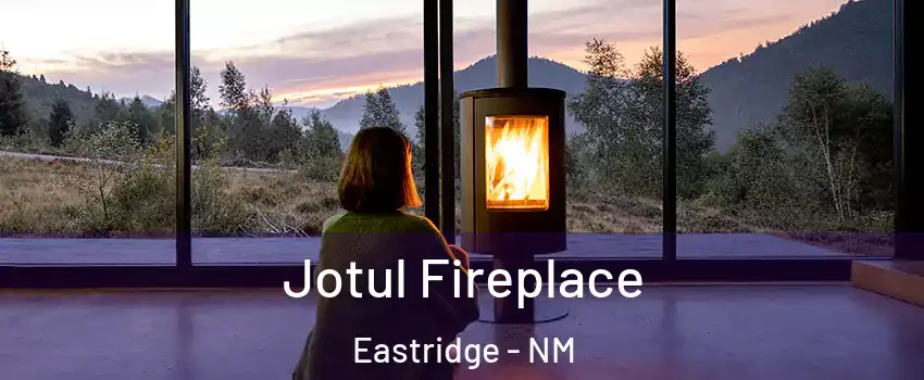 Jotul Fireplace Eastridge - NM