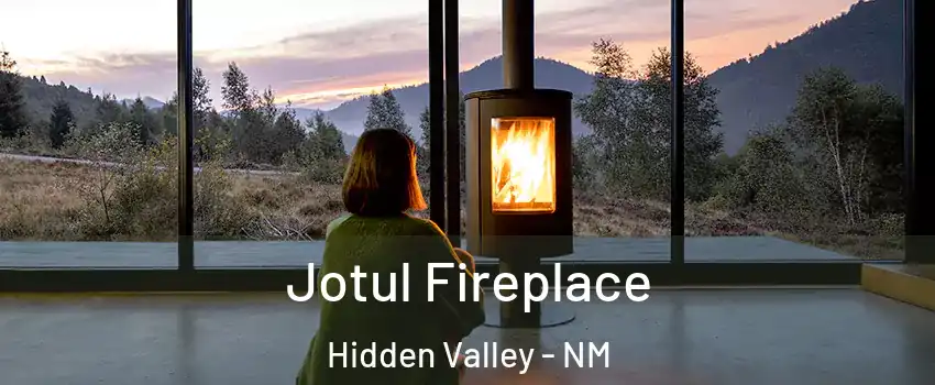 Jotul Fireplace Hidden Valley - NM