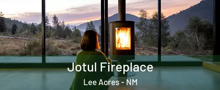 Jotul Fireplace Lee Acres - NM