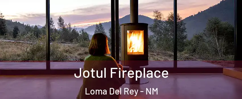 Jotul Fireplace Loma Del Rey - NM