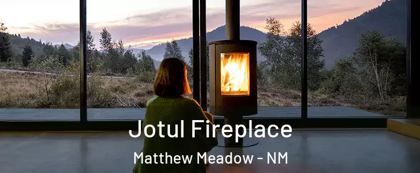 Jotul Fireplace Matthew Meadow - NM