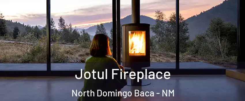 Jotul Fireplace North Domingo Baca - NM