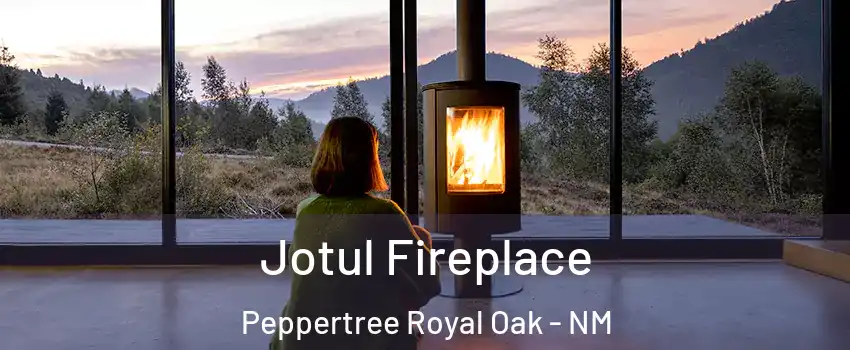 Jotul Fireplace Peppertree Royal Oak - NM