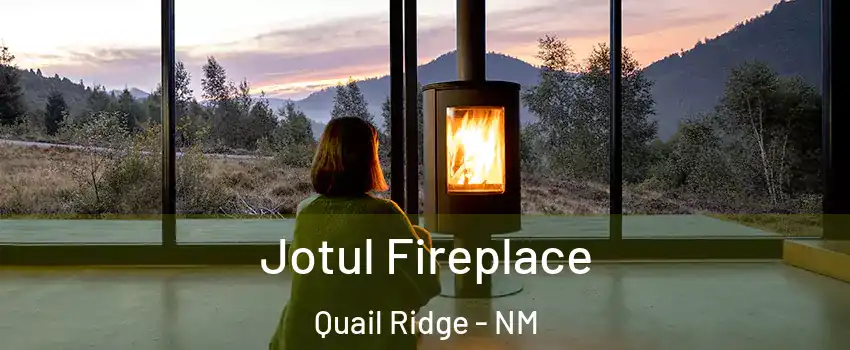 Jotul Fireplace Quail Ridge - NM