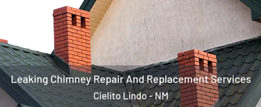 Leaking Chimney Repair And Replacement Services Cielito Lindo - NM