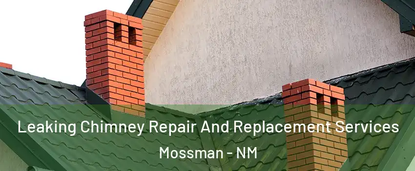 Leaking Chimney Repair And Replacement Services Mossman - NM