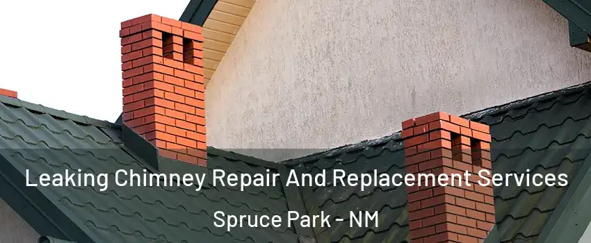 Leaking Chimney Repair And Replacement Services Spruce Park - NM