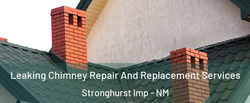 Leaking Chimney Repair And Replacement Services Stronghurst Imp - NM