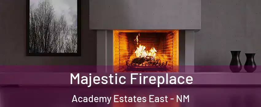 Majestic Fireplace Academy Estates East - NM