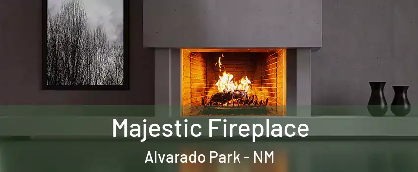 Majestic Fireplace Alvarado Park - NM