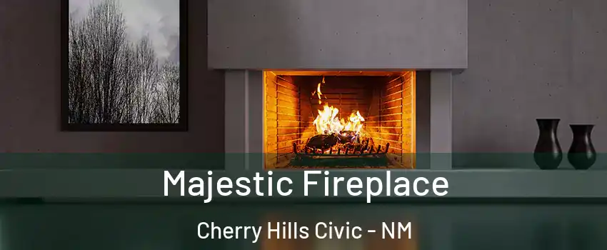 Majestic Fireplace Cherry Hills Civic - NM