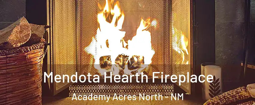 Mendota Hearth Fireplace Academy Acres North - NM