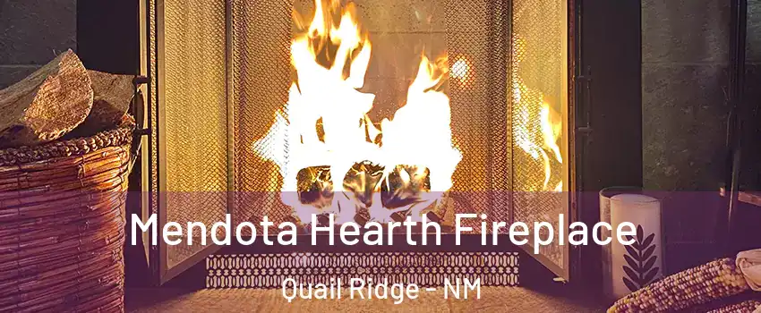 Mendota Hearth Fireplace Quail Ridge - NM