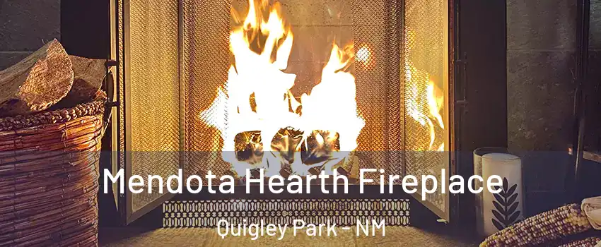 Mendota Hearth Fireplace Quigley Park - NM