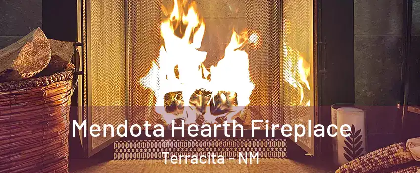 Mendota Hearth Fireplace Terracita - NM