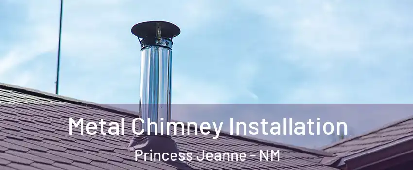 Metal Chimney Installation Princess Jeanne - NM