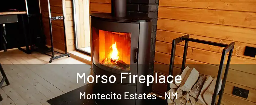 Morso Fireplace Montecito Estates - NM