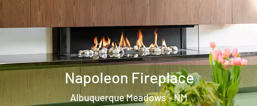 Napoleon Fireplace Albuquerque Meadows - NM