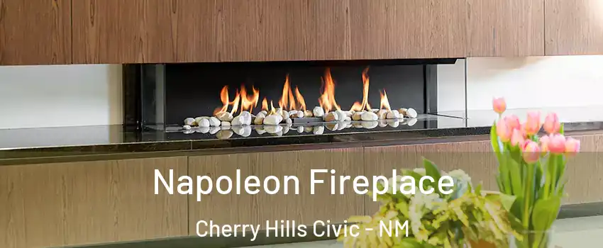 Napoleon Fireplace Cherry Hills Civic - NM