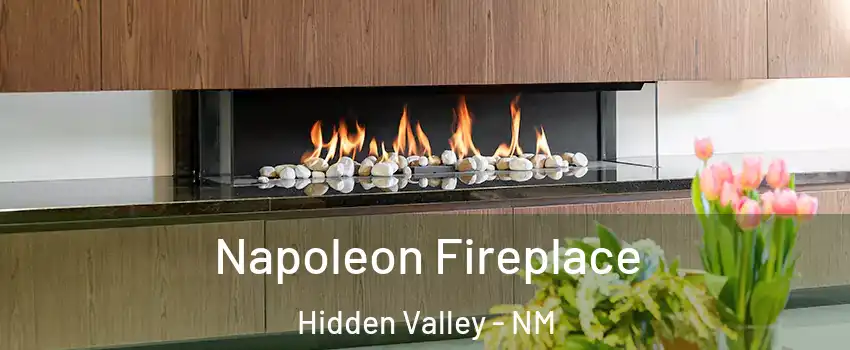 Napoleon Fireplace Hidden Valley - NM