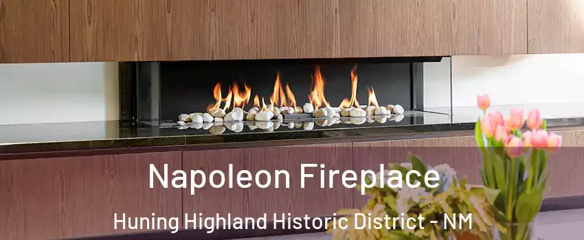 Napoleon Fireplace Huning Highland Historic District - NM