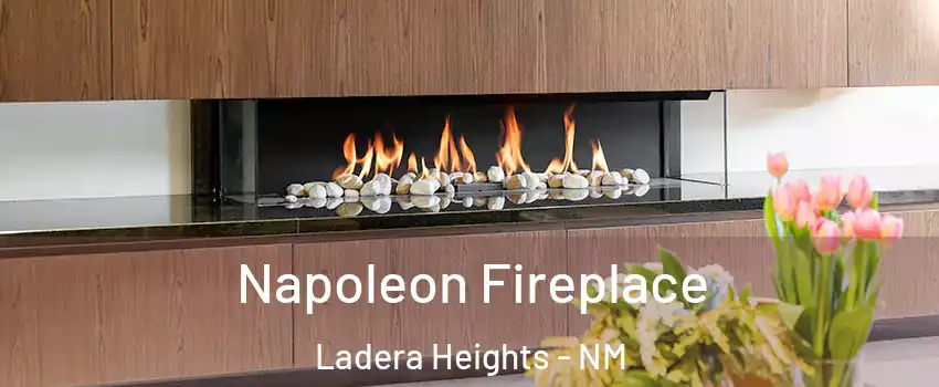 Napoleon Fireplace Ladera Heights - NM