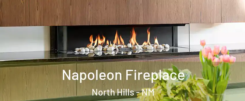 Napoleon Fireplace North Hills - NM