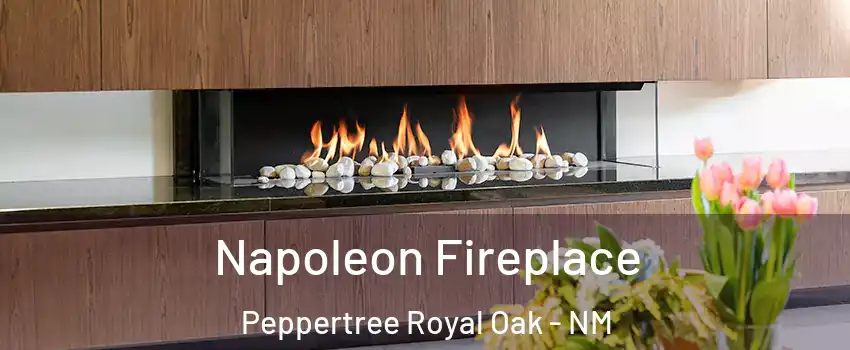 Napoleon Fireplace Peppertree Royal Oak - NM