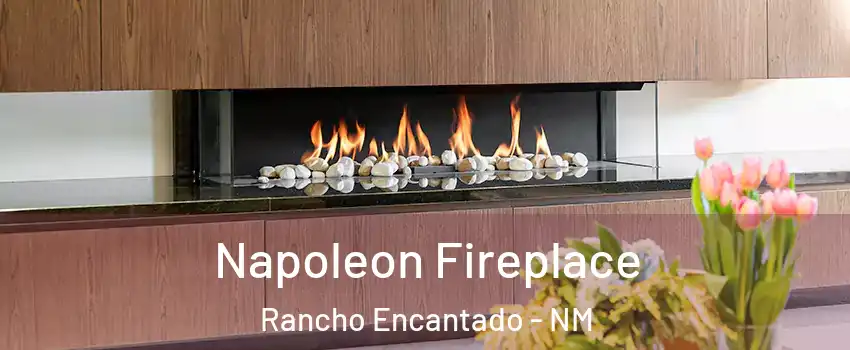 Napoleon Fireplace Rancho Encantado - NM