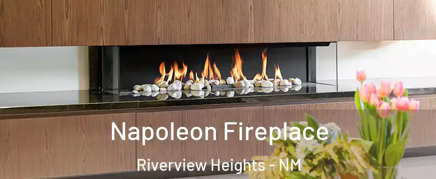 Napoleon Fireplace Riverview Heights - NM