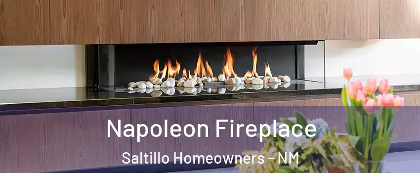 Napoleon Fireplace Saltillo Homeowners - NM