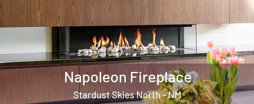 Napoleon Fireplace Stardust Skies North - NM