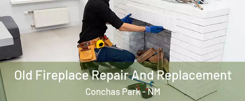 Old Fireplace Repair And Replacement Conchas Park - NM