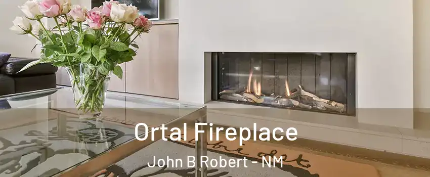 Ortal Fireplace John B Robert - NM