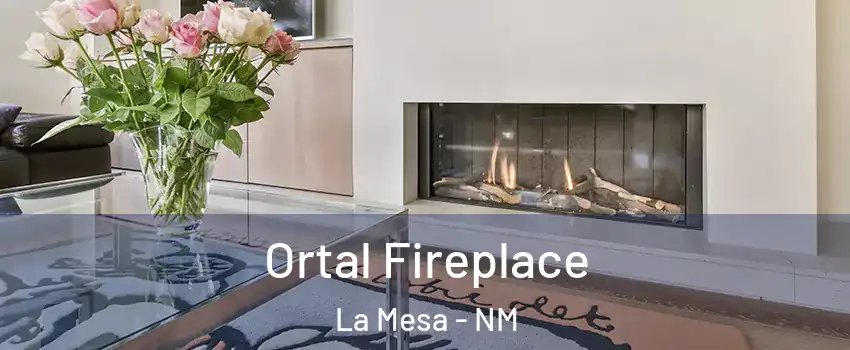 Ortal Fireplace La Mesa - NM