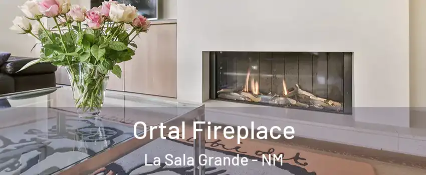 Ortal Fireplace La Sala Grande - NM