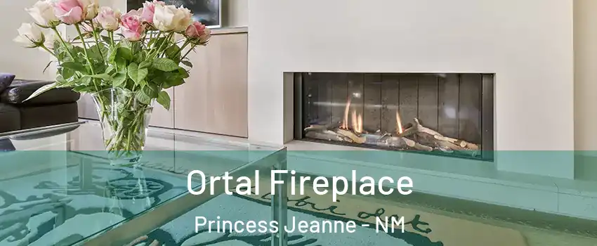 Ortal Fireplace Princess Jeanne - NM