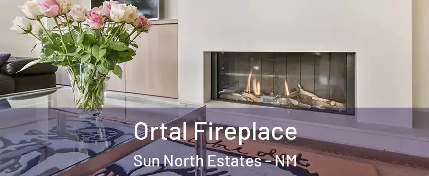 Ortal Fireplace Sun North Estates - NM