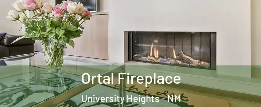 Ortal Fireplace University Heights - NM