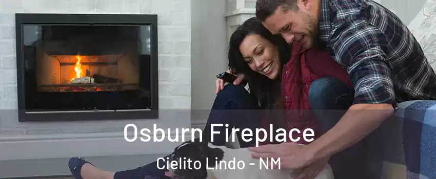 Osburn Fireplace Cielito Lindo - NM