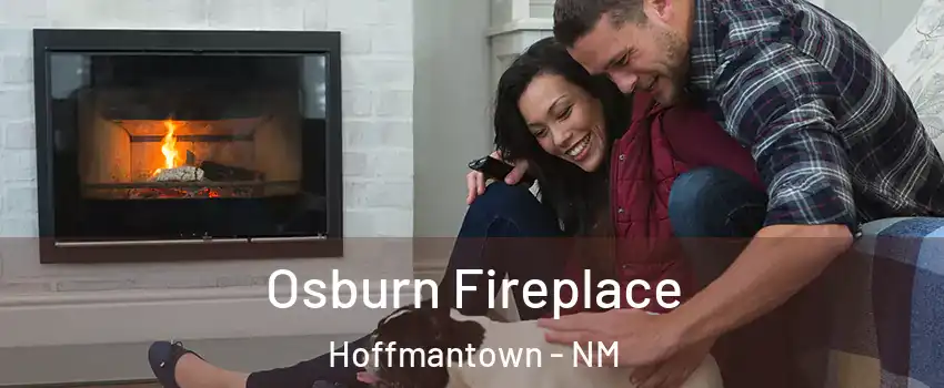 Osburn Fireplace Hoffmantown - NM