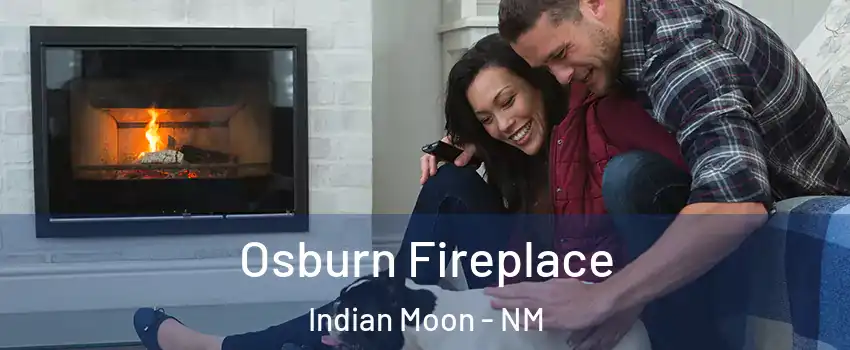 Osburn Fireplace Indian Moon - NM