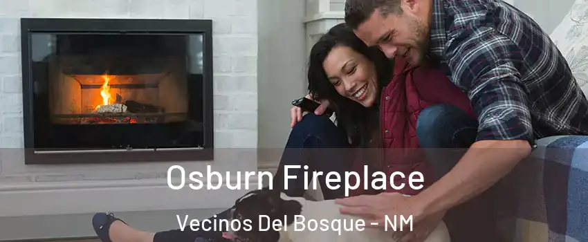 Osburn Fireplace Vecinos Del Bosque - NM