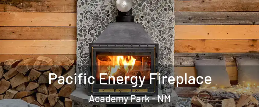 Pacific Energy Fireplace Academy Park - NM