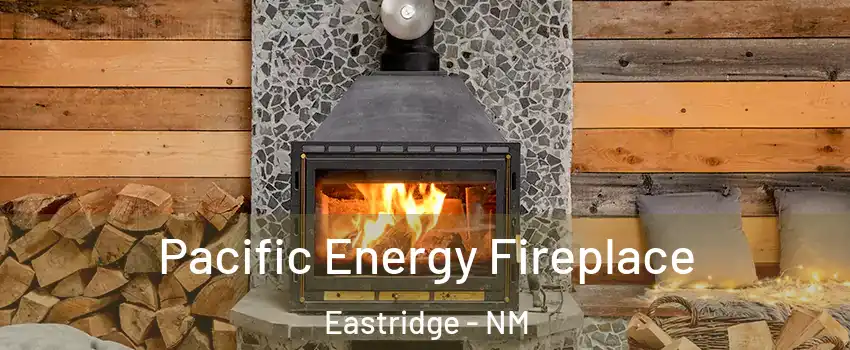 Pacific Energy Fireplace Eastridge - NM