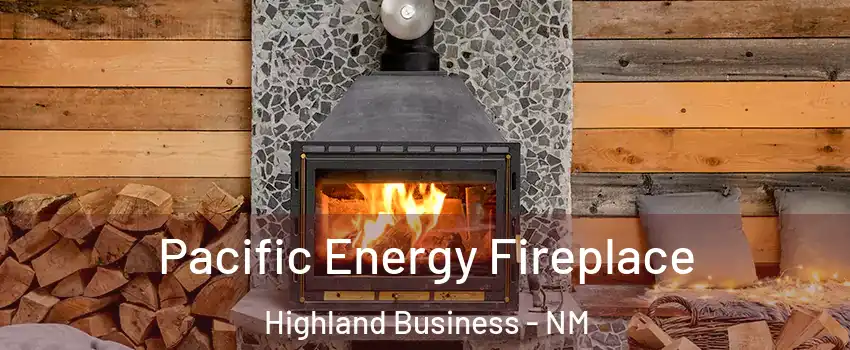 Pacific Energy Fireplace Highland Business - NM