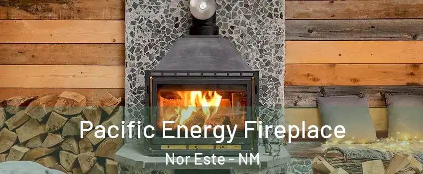 Pacific Energy Fireplace Nor Este - NM