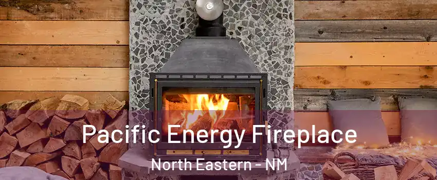 Pacific Energy Fireplace North Eastern - NM