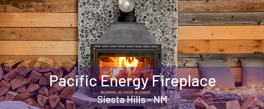 Pacific Energy Fireplace Siesta Hills - NM