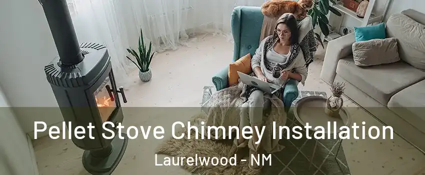 Pellet Stove Chimney Installation Laurelwood - NM